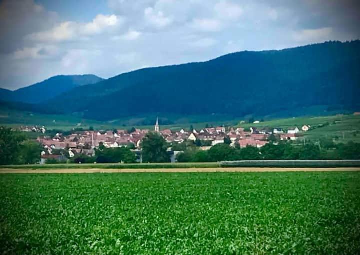 Le Clocher " Sous Les Combles" Parking Gratuit Beblenheim Bagian luar foto